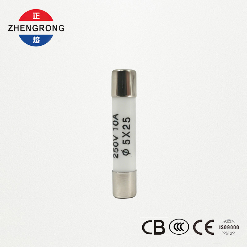 Hochwertige 5x25mm R055 10A Sicherungen für Großhandelskäufer