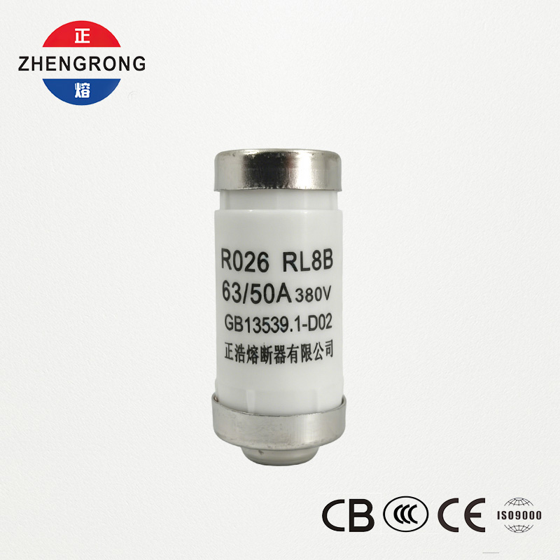 R026 RL8B 63A 380V D02 Industrie-Sicherungseinsatz