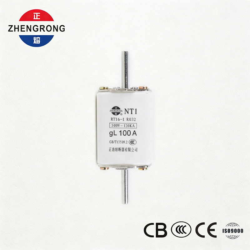 Zhenghao NT1 100A Messersicherung